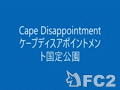 capedisappointment.mp4