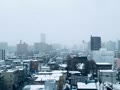 雪 雪